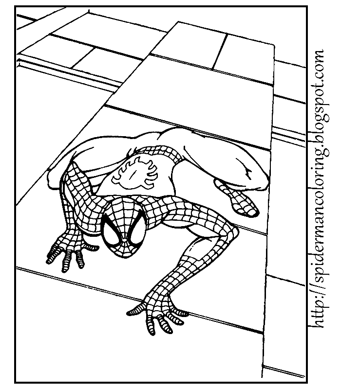 SPIDERMAN PRINT AND COLOUR title=