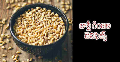 image show barley seeds