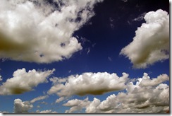 DSC_1309_edited