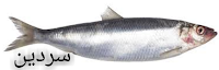 سردين:sardine