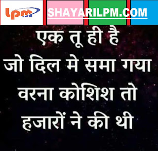 Love Shayari 