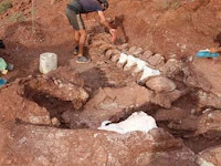 Archaeologists Excavate 100 Million Old Dinosaur Fossils in Meghalaya