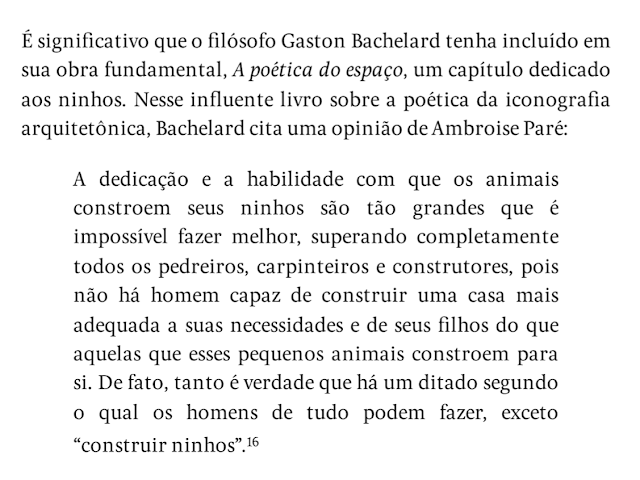 Animais Arquitetos