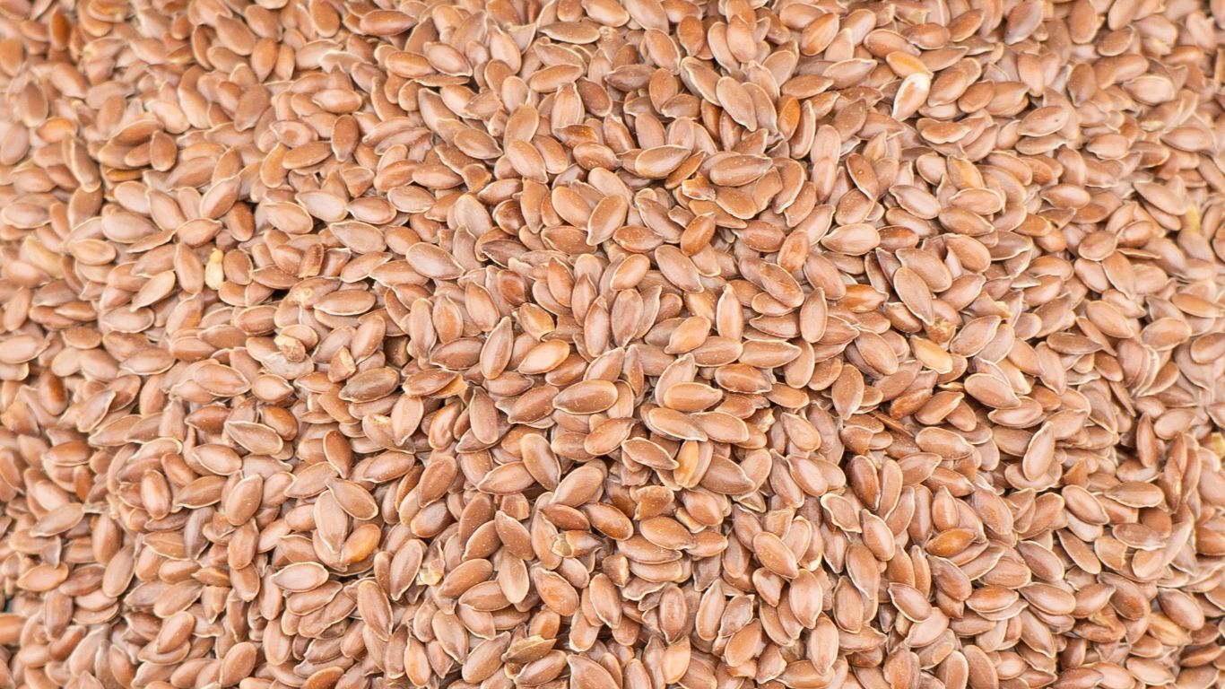 Flaxseed for Bowel Movement