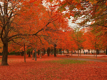 Gambar taman yang indah