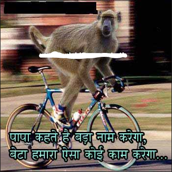 Animal love  whatsapp status monkey
