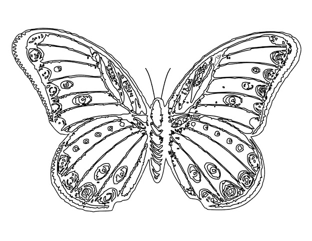  Butterfly And Flower Coloring Pages For Adults  Free Printable Butterfly  Coloring Pages For Kids 