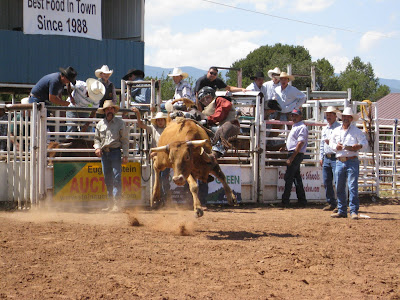 Wrangler Rodeo Report