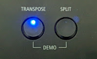 Kawai ES920 transpose button
