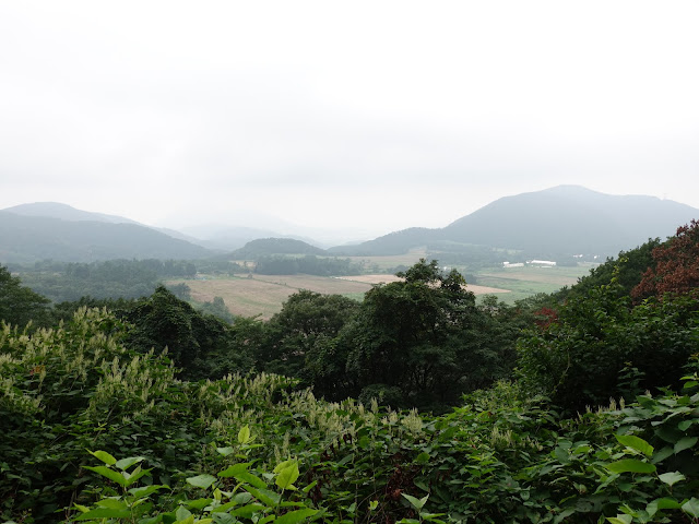 香取草谷展望駐車場に向かう山道　下の香取の牧草地が見えました