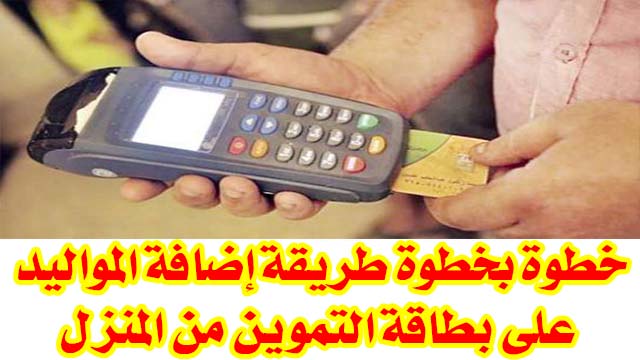 خطوة بخطوة طريقة إضافة المواليد على بطاقة التموين لعام 2021 من خلال بوابة مصر الرقمية