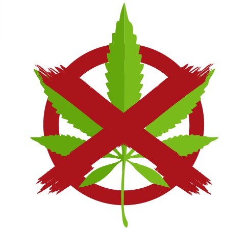 graphic design for logo leaf