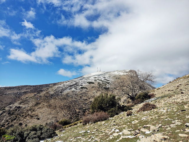 Subida circular al Pico Almadén (2.036 m) desde el Área Recreativa de la Fuenmayor (Parque Natural Sierra Mágina)