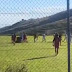 Μαλλιά κουβάρια μέσα στο γήπεδο – «Ξάπλωσαν» στο χορτάρι τον διαιτητή σε ερασιτεχνικό αγώνα ποδοσφαίρου στη Λάρισα (BINTEO)