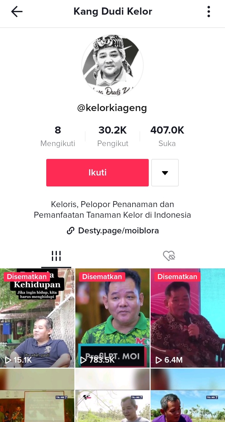 Tiktok kang dudi kelorkiageng