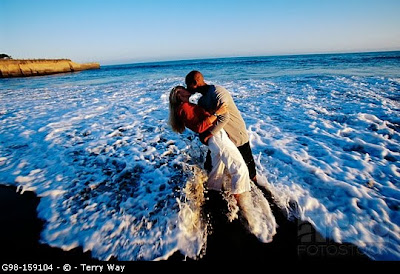 Site Blogspot  Photography  Video  Weddings on Way Photography  Big Sur Wedding Photographer  Terry Way Photography