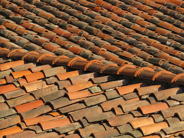 Tiled roofs, Via Borsi, Livorno