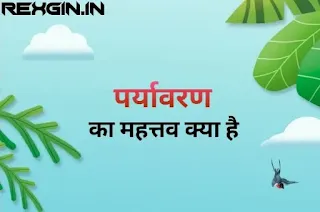 पर्यावरण का महत्व - environment in Hindi