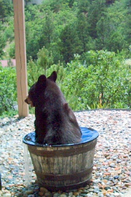 A Barrel of Bear ....