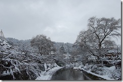 DSC_0021