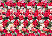 3d Pictures Magic Eye5