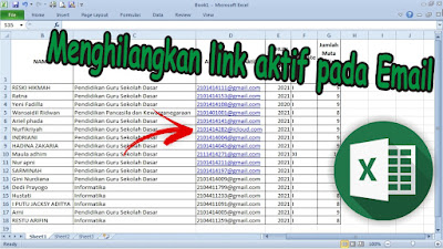 Cara Menghilangkan Link Email Aktif di Excel