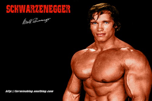 arnold schwarzenegger 2011 movies. Governor Arnold Schwarzenegger