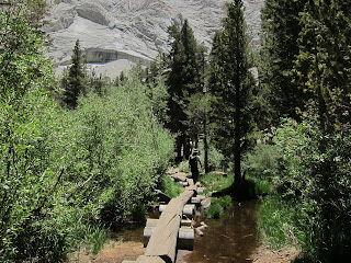 Logged segment of Mount Whitney Trail