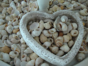 Schelpen