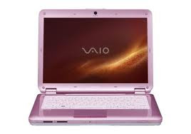 Sony VAIO VGN-CS320J/P Laptops Review