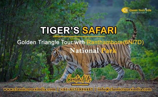 tiger'safari-with-golden-triangle.jpg