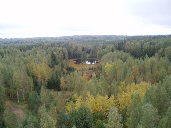 Viti järv vaatetornist