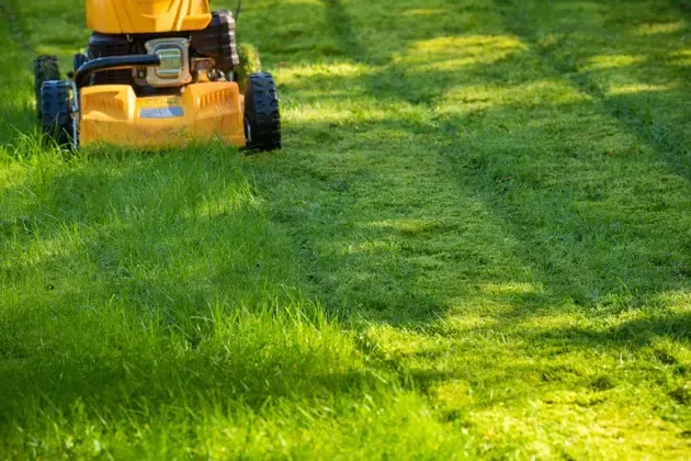 Guide d'achat de tondeuse à gazon : comment choisir la meilleure tondeuse à gazon
