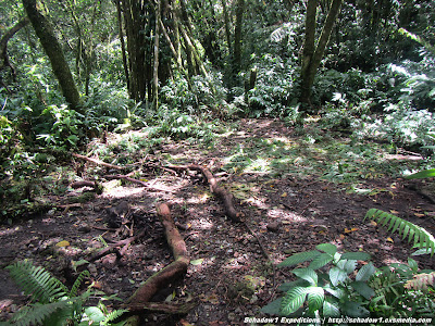 camiguin,hibok-hibok,volcano,mountain,mountaineering,panaad,walkway,station of the cross,lenten,volcano,mountaineering,philippine travel,philippine mapping,schadow1 expeditions,backpacking