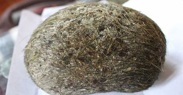 Cát lợn