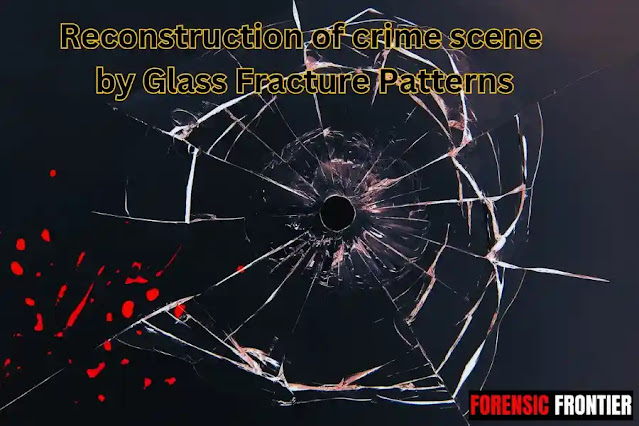 Reconstruction of crime scene  by Glass Fracture Patterns