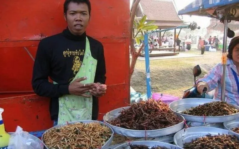 Chinese man selling large volume of insects
