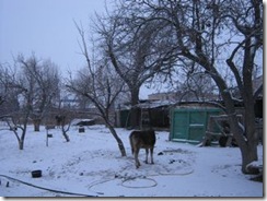 Bokonbaev_snow2