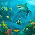 Shark Underwater Wallpapers