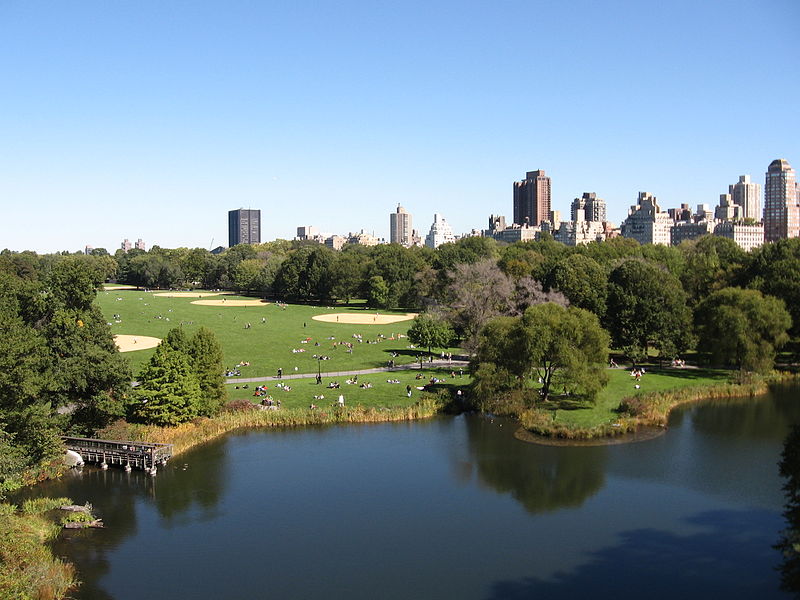 Central Park Meadows: Sheep Meadow, Great Lawn & North Meadow ...