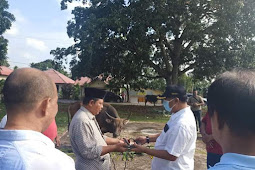 Pemkab Tanimbar Serahkan 2 Ekor Hewan Kurban Sambut Hari Raya Idul Adha 1443 H