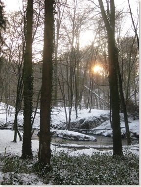 schnee 2010 043