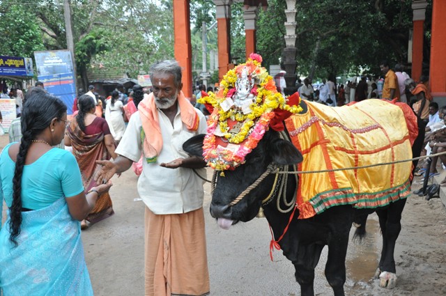 Temples of Kerala - Ochira Parambrahma temple 