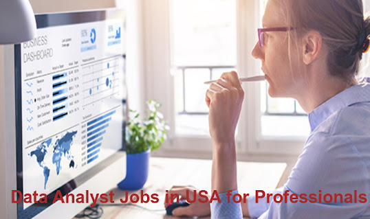 Data Analyst jobs in USA for professionals