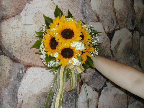 Simple bright sunflowers and baby 39s breath bridal bouquet hand tied with