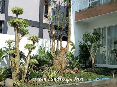 Jasa Tukang Taman Kendal - Jasa Taman Green Landscape Asri