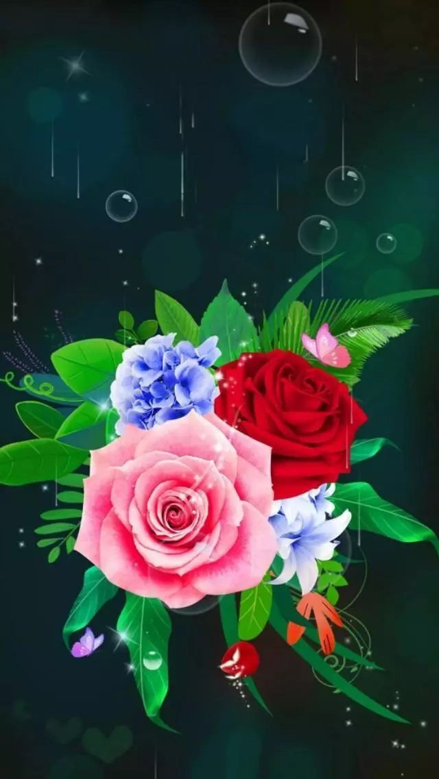 صورة