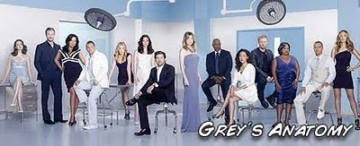 Descargar Grey´s Anatomy S07E02 7x02 702