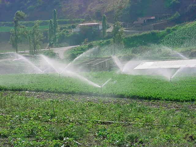 Ingeniería agronómica en la UPEA