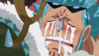 ワンピースアニメ 508話 フランキー FRANKY バルジモア Baldimore | ONE PIECE Episode 508